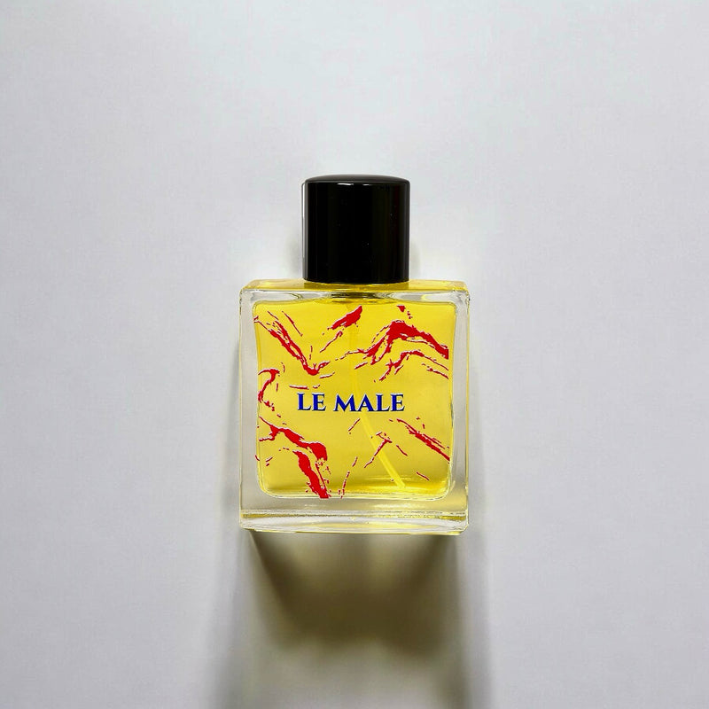 LE MALE  by AnM – Eau de parfum for Men (60ml)
